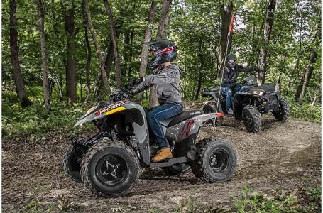2024 Polaris PHOENIX 200 - Photo 2