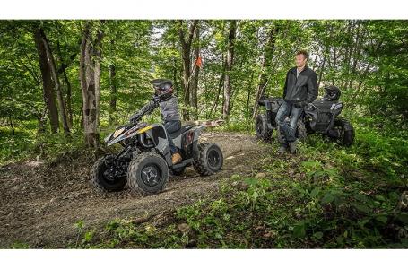 2024 Polaris PHOENIX 200 - Photo 3