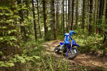 2024 Yamaha YZ 450FX - Photo 4