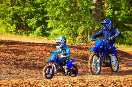 2024 Yamaha PW 50 - Photo 6