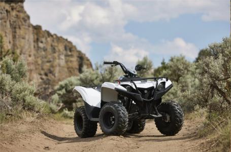 2024 Yamaha GRIZZLY 90 - Photo 2