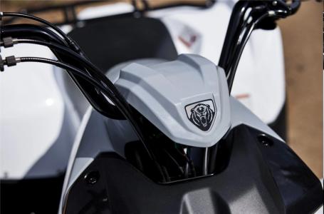 2024 Yamaha GRIZZLY 90 - Photo 4