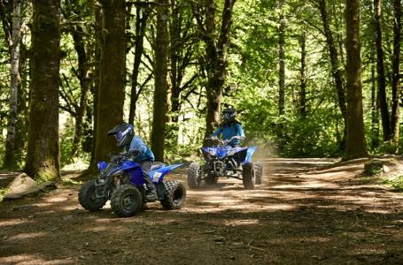 2024 Yamaha YFZ50 - Photo 9