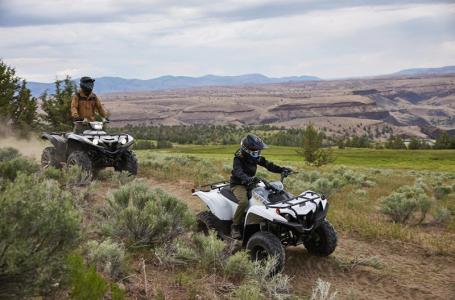 2024 Yamaha Grizzly 90 - Photo 13