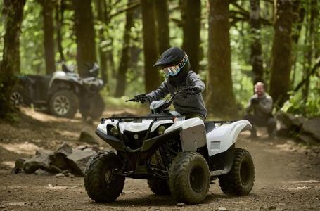 2024 Yamaha Grizzly 90 - Photo 11