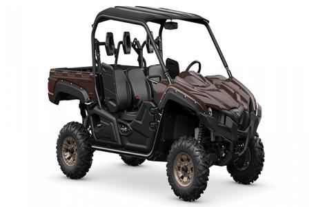 2024 Yamaha YXM70VPRRC Y - Photo 2