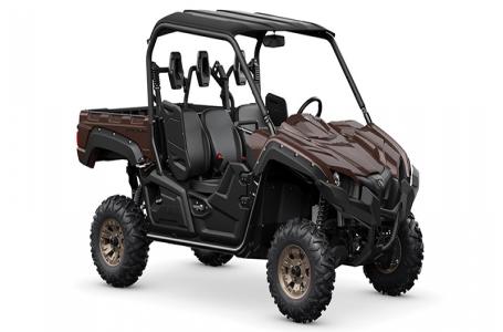 2024 Yamaha YXM70VPRRC Y - Photo 3