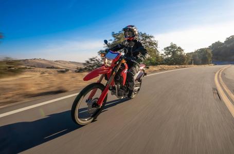 2024 Honda CRF® 300L Rally - Photo 2