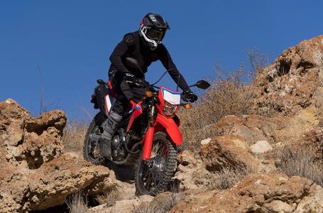 2024 Honda CRF® 300L Rally - Photo 3