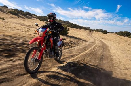 2024 Honda CRF® 300L Rally - Photo 5
