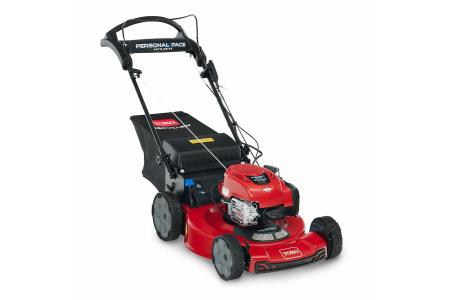 2024 Toro 22 in. (56cm) Recycler® Gas Lawn Mower (21464)