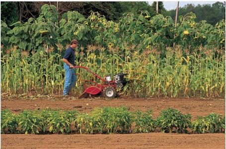 2024 Troy-Bilt BIG RED REAR TINE TILLER - Photo 10