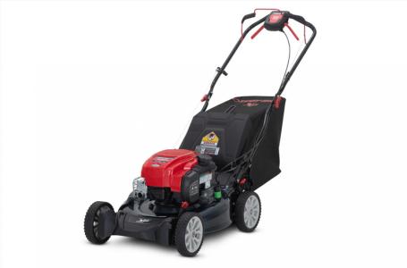 2024 Troy-Bilt TB 310B XP - Photo 2