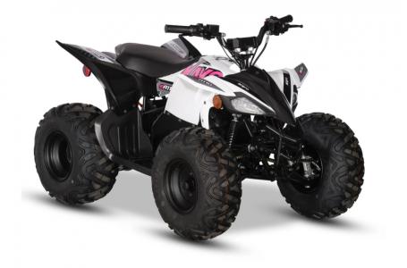 2024 Kayo EA 110 - Photo 3