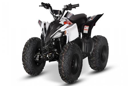 2024 Kayo EA 110 - Photo 8