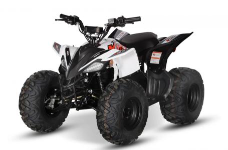 2024 Kayo EA 110 - Photo 10