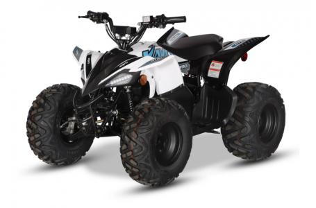 2024 Kayo EA 110 - Photo 15