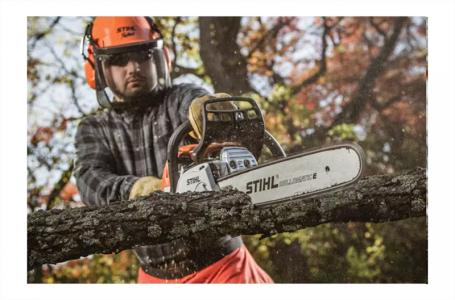 2024 STIHL MS 251 C-BE 18"(.050) - Photo 2