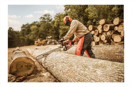 2024 STIHL MS 661 C-M 32" - Photo 4