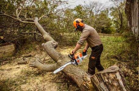 2024 STIHL MS 362 C-M - Photo 2