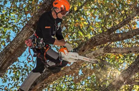 2024 STIHL MSA 220 TC-O 14" - Photo 3
