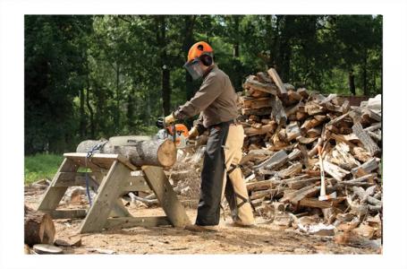 2024 STIHL MS 311 - Photo 2