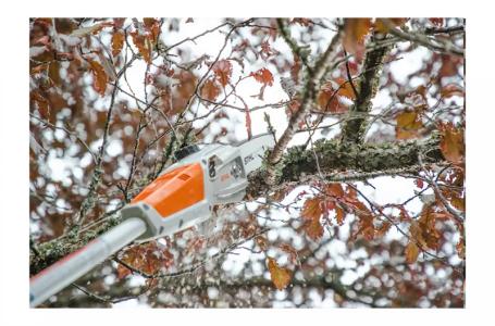 2024 STIHL HTA 50 - Photo 3
