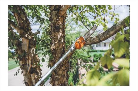 2024 STIHL HT 135 - Photo 5