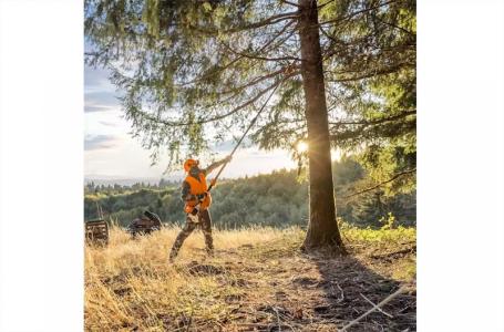 2024 STIHL HT 135 - Photo 8