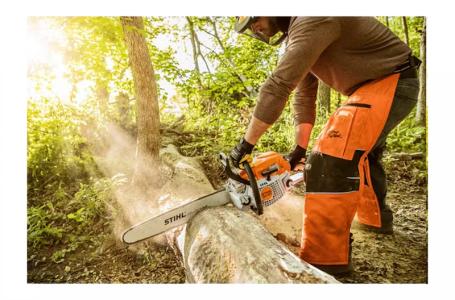 2024 STIHL MS291  STIHL CHAINSAW - Photo 6