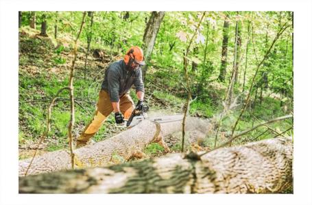 2024 STIHL MS 391 25" - Photo 3