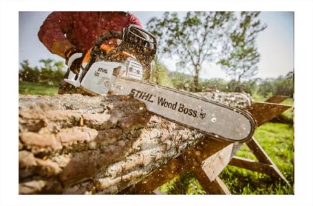 2024 STIHL MS 251 Wood Boss® - Photo 3