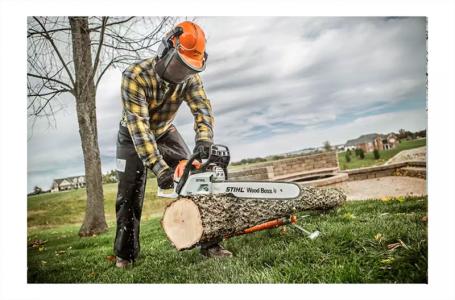 2024 STIHL MS 251 Wood Boss® - Photo 4