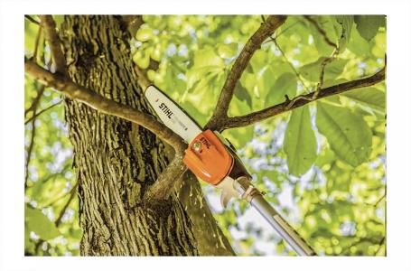 2024 STIHL HT-KM Pole Pruner 12" - Photo 2