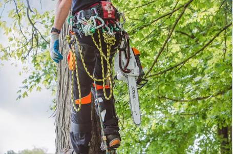 2024 STIHL MS 201 T C-M - Photo 2