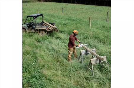 2024 STIHL MS 151 C-E - Photo 5