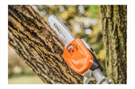 2024 STIHL HT 56 C-E - Photo 2