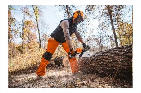 2024 STIHL MS 391 25" - Photo 4