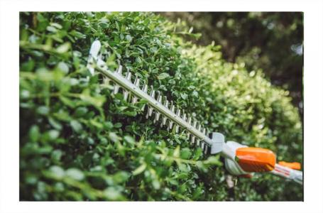 2024 STIHL HLA 56 - Photo 5