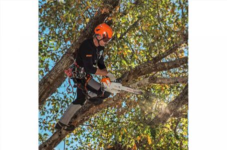 2024 STIHL MSA 220 TC-O - Photo 4