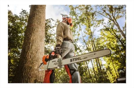 2024 STIHL MS 661 C-M 32" - Photo 2