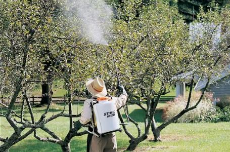 2024 STIHL SG 20 - Photo 2
