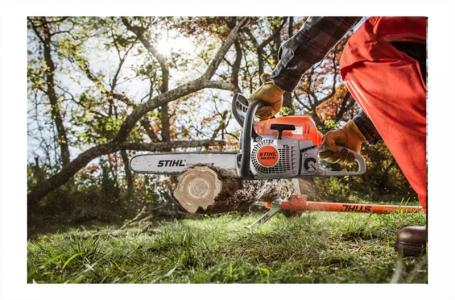 2024 STIHL MS 251 C-BE 18"(.050) - Photo 3