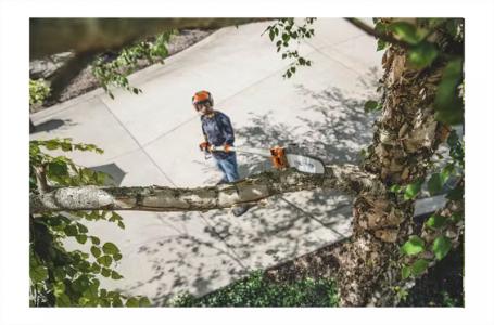 2024 STIHL HT 135 - Photo 3