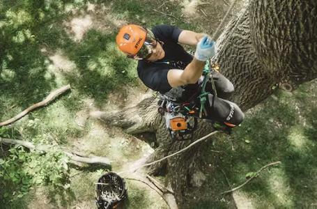 2024 STIHL MS 194 T - Photo 3