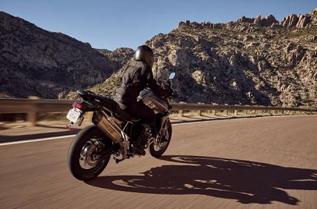 2025 Triumph Tiger 900 GT Pro - Photo 10