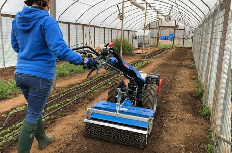 2024 BCS America 21" POWER HARROW - Photo 4