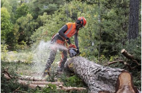 2024 Husqvarna 550 XP MARK II 20" - Photo 7