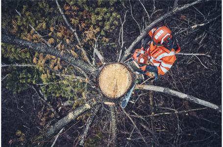 2024 Husqvarna 562 XP® Mark II Chainsaw (970 69 67-20) - Photo 3