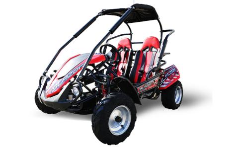 2024 TrailMaster Blazer 200-R